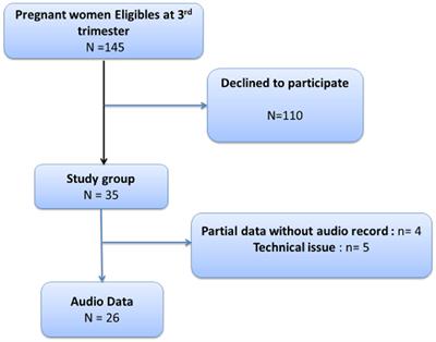 “Motherese” Prosody in Fetal-Directed Speech: An Exploratory Study Using Automatic Social Signal Processing